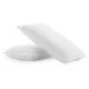 ChemicalWorkz Scrub Pad V2